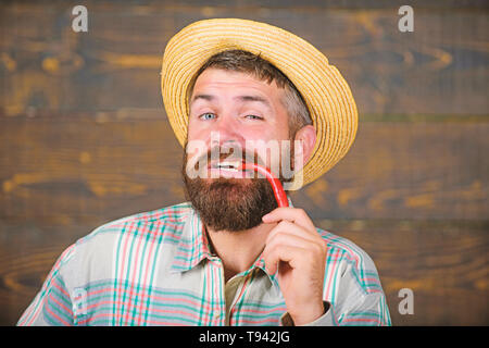 Bärtige Landwirt halten Pfeffer in der Hand. Pfeffer Ernte Konzept. Rustikale Bauer im Stroh Hut mag scharfen Geschmack. Bauer präsentieren Hot Chili Pepper Holz- Hintergrund. Mann Pfeffer Ernte. Stockfoto