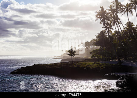 Tropische Landschaft Blick auf Strand in Polynesien mit Kokosnuss Palmen, perfekt weißen Sand, im Vordergrund, Ozean mit türkisfarbenem Wasser und blauen Himmel w Stockfoto