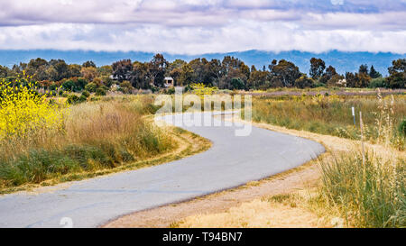 Weg nach der Küste von South San Francisco Bay Area, Mountain View, Kalifornien; Stockfoto