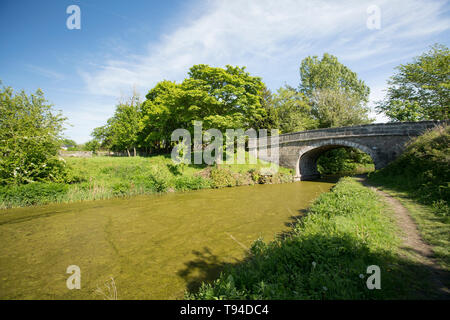 Ein Blick auf den stillgelegten Abschnitt der Lancaster Canal und Brücke Nr. 166 und leinpfad in der Nähe des Dorfes Crooklands in Cumbria. Cumbria, England Großbritannien GB Stockfoto