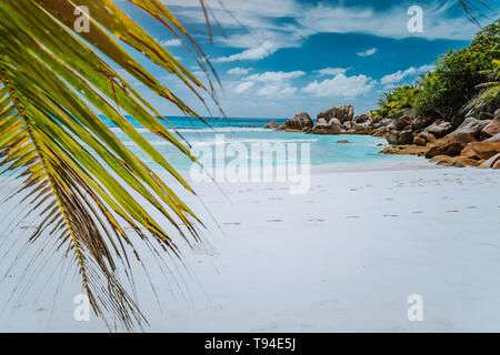 Tropische Insel Seychellen, weißen Strand mit Granit Felsen und Palm Tree Stockfoto