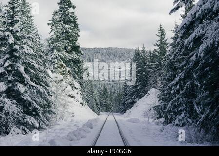 Skipisten auf einem steilen verschneiten Hügel im Wald Stockfoto