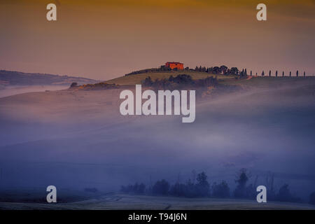 Ein nebliger Morgenspaziergang durch die sanften Hügel von Pienza in der Toskana. Ich liebe den Nebel und er legt einen Schleier gibt der Landschaft ein geheimnisvolles Gefühl. Stockfoto