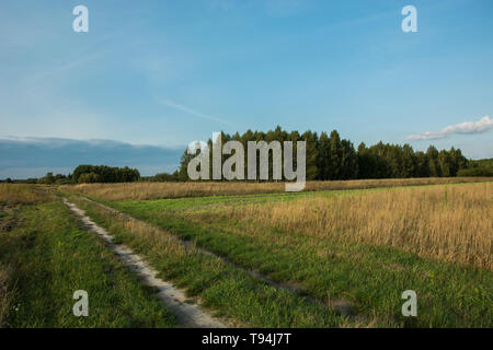 Straße durch Wald und Felder, kleine Wolken am blauen Himmel - an einem sonnigen Tag Stockfoto