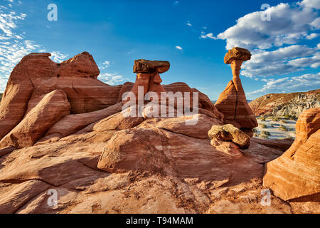 Fliegenpilz Hoodoos, Grand Staircase-Escalante National Monument, Utah, USA, Nordamerika Stockfoto