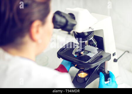 Bild des Wissenschaftlers mit Mikroskop im Labor Stockfoto