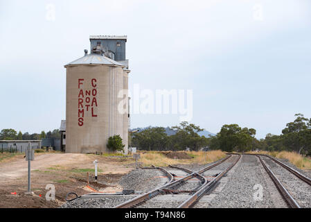 Ein Farmen nicht Kohle Protest anmelden in großen Buchstaben wird auf die Seite eines in Privatbesitz befindlichen Getreidesilo in der Nähe im Outback im Norden Westen von New South Wales lackiert Stockfoto