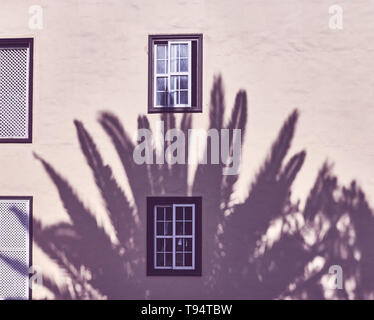Schatten einer Palme auf einer Hauswand, Farbe Tonen angewendet. Stockfoto