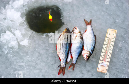 Eisloch angeln. Winter angeln in eiskalten Wetter Konzept Stockfoto