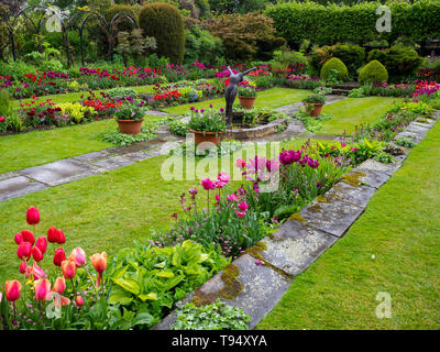 Chenies Manor House versunkenen Garten im Mai mit lebendigen tulip Sorten auf einem showery Nachmittag; Anlage Grenzen, nassen Pflaster, Zierteich und Statue.. Stockfoto