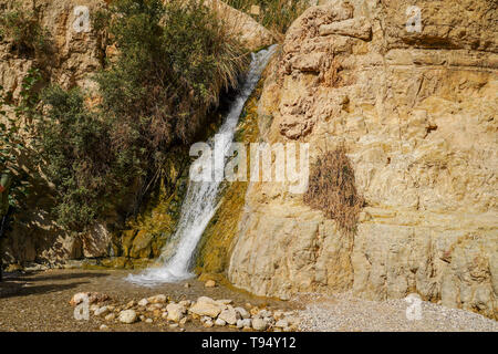 Israel, Totes Meer, Ein Gedi Nationalpark der Wasserfall im Wadi David Stockfoto