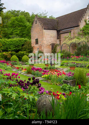 Chenies Manor versunkenen Garten im Frühjahr mit leuchtenden Tulpen; Hochformat der Anlage Grenzen, Gras Pfade mit restaurierten Pavillon.. Stockfoto