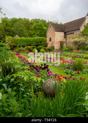 Chenies Manor versunkenen Garten im Frühjahr mit leuchtenden Tulpen; Hochformat der Anlage Grenzen, Gras Pfade mit restaurierten Pavillon.. Stockfoto