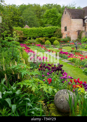 Chenies Manor versunkenen Garten im Frühjahr mit leuchtenden Tulpen; Hochformat der Anlage Grenzen, Gras Pfade mit restaurierten Pavillon.. Stockfoto