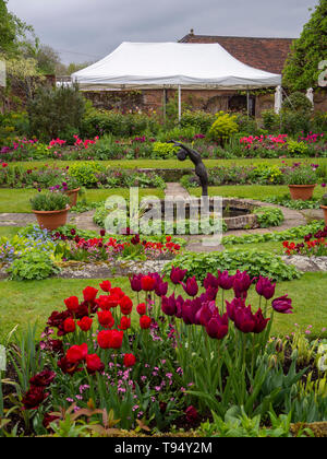 Chenies Manor House versunkenen Garten im Mai mit kräftigem pink und lila Tulpen mit der Teestube und Festzelt, bewölkter Himmel; Zierteich und Skulptur. Stockfoto