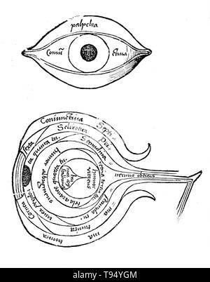 Diagramm des Auges von Margarita philosophica von Gregor Reisch (1467-1525) war ein deutscher Kartäuser humanistischen Schriftsteller. Sein Hauptwerk ist die Margarita philosophica, die zuerst in Freiburg im Jahr 1503 erschien. Es ist eine Enzyklopädie des Wissens als Lehrbuch für Studenten gedacht und enthält in zwölf Bücher lateinische Grammatik, Dialektik, Rhetorik, Arithmetik, Musik, Geometrie, Astronomie, Physik, Naturgeschichte, Physiologie, Psychologie und Ethik. Die Nützlichkeit der Arbeit wurde durch zahlreiche Holzschnitte und einen vollständigen Index erhöht. Stockfoto