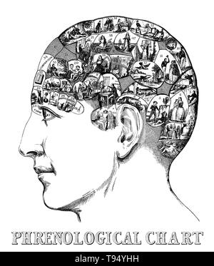 Titel: 'Kopf mit über dreißig Bilder symbolisieren die Phrenological Fakultäten durch Drs. Gall & Spurzheim." Phroenology ist eine Pseudowissenschaft in erster Linie auf Messungen des menschlichen Schädel, auf dem Konzept, dass das Gehirn ist das Organ des Geistes, und dass in bestimmten Bereichen des Gehirns lokalisiert, spezifische Funktionen oder Module. Obwohl beide dieser Ideen eine Grundlage in der Realität haben, phroenology über empirische Wissen in einer Weise, die von der Wissenschaft hin extrapoliert. Stockfoto