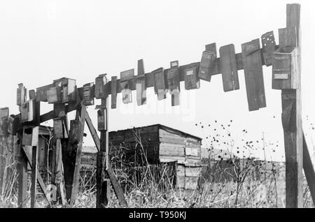 Titel: 'Mailboxes für Hausbesetzer entlang des Flusses, St. Louis, Missouri." Vor der Einführung des ländlichen Kostenlose Lieferung (RFD) von der Post im Jahr 1896, viele ländliche Bewohner hatten keinen Zugang zu E-Mail, es sei denn Sie sie in einem Postamt viele Meilen entfernt von ihren Häusern gesammelt oder angestellt, ein eigenes Unternehmen zu liefern. Aus diesem Grund, Mailboxen nicht beliebt im ländlichen Amerika geworden, bis Bordsteinkante RFD Zustellung durch die Post war ein etablierter Service. Stockfoto