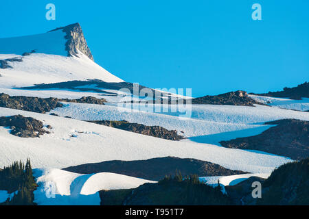 Detail des Mount Rainier im Mount Rainier National Park, Washington State, USA Stockfoto