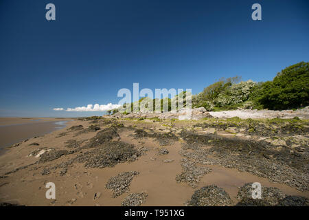 Eine Ansicht in der Nähe von Jenny Brown's Point bei Ebbe in der Nähe des Dorfes Silverdale in der Nähe der Kante von Morecambe Bay. Die Bucht ist bekannt für seine leistungsstarken t festgestellt Stockfoto