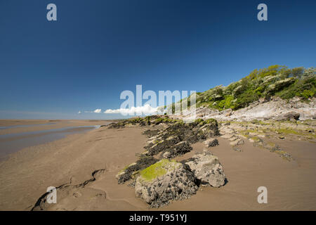 Eine Ansicht in der Nähe von Jenny Brown's Point bei Ebbe in der Nähe des Dorfes Silverdale in der Nähe der Kante von Morecambe Bay. Die Bucht ist bekannt für seine leistungsstarken t festgestellt Stockfoto