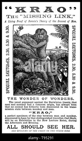 Krao Re di Roma (1876 - 16. April 1926) war ein US-amerikanischer sideshow Interpret geboren mit hypertrichose. Es wird behauptet, dass im Januar 1881, Krao und ihre Eltern in Laos gefangen genommen wurden während einer Expedition geleitet durch die Explorer Carl Bock. Ein Anthropologe, George Shelly, war Teil der Expedition und übernahm Krao. Sie war als Teil eines primitiven Stammes Menschen namens 'Kraos - monink' alle von wem wurden in Haar bedeckt beschrieben und in den Bäumen lebte. Stockfoto