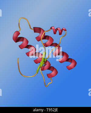 Modell der Prion Protein. Prionen sind infektiöse Erreger ausschließlich aus einem Protein, das in mehreren falten können, strukturell abstrakte Möglichkeiten, von denen mindestens einer übertragbaren zu anderen prion Proteine ist, die Krankheit in einer Weise, die epidemiologisch ist es, die Ausbreitung der viralen Infektion vergleichbar. Prionen aus der Prion Protein sind vermutlich die Ursache der transmissiblen spongiformen Enzephalopathien unter anderen Krankheiten. Stockfoto