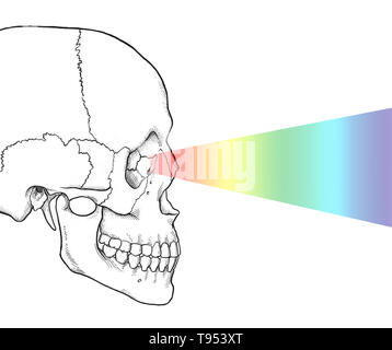 Abbildung: das Auge sichtbares Licht wahrzunehmen. Stockfoto