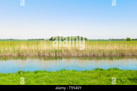 Blick über den Fluss Rumpf mit hohen Schilf und Ackerland in der Ferne und Cluster von Bäumen auf hellen Frühling Morgen, Beverley, Yorkshire, UK. Stockfoto