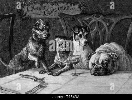 Titel: "Vier Hunden sitzen auf zwei Stühlen erwartungsvoll warten auf das Essen serviert werden." Weihnachten ist das jährliche Gedenken an die Geburt von Jesus Christus und ein weitgehend befolgt kulturelle Urlaub, feierte am 25. Dezember durch Milliarden von Menschen rund um die Welt. Ein Fest ganz zentral das christliche Kirchenjahr, schließt er die Adventszeit und initiiert der zwölf Tage von Weihnachten, das endet, nachdem die zwölfte Nacht. Stockfoto