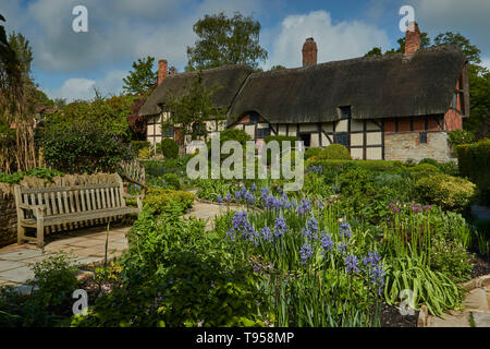 Anne Hathaway's Cottage aus der Cottage Garden, Shottery, in der Nähe von Stratford-on-Avon Warwickshire, England, Vereinigtes Königreich, Europa Stockfoto