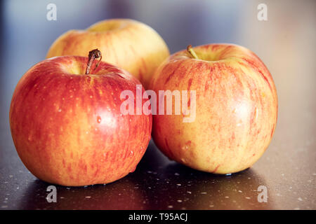 Detaillierte Makrofotografie von drei gelb-roten Äpfel auf dunklen glatten Tisch. Süße und frische Äpfel mit Wassertropfen auf dunklen Tisch mit super Bokeh. Stockfoto