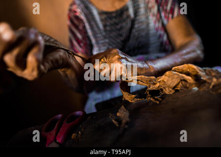 Laura Peña, eine 67 Jahre alte Frau, zieht den Schaft aus der Tabakblätter, während Sie handgemachte Zigarren in Ihrem Haus in Suchitoto, El Salvador. Stockfoto