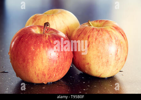 Detaillierte Makrofotografie von drei gelb-roten Äpfel auf dunklen glatten Tisch. Süße und frische Äpfel mit Wassertropfen auf dunklen Tisch mit super Bokeh. Stockfoto