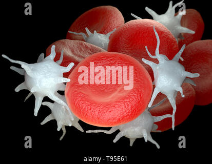 Rote Blutzellen und aktivierte Blutplättchen oder Thrombozyten. 3D-Darstellung Stockfoto