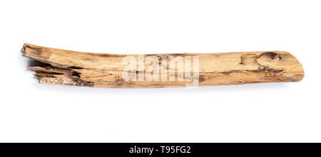 Baum Stick auf weißem Hintergrund Stockfoto