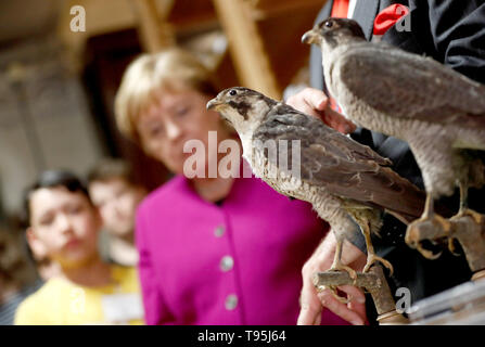 Berlin, Deutschland. 16. Mai, 2019. Bundeskanzlerin Angela Merkel (CDU) zu Besuch im Museum für Naturkunde. Credit: Hannibal Hanschke/Reuters/dpa/Alamy leben Nachrichten Stockfoto