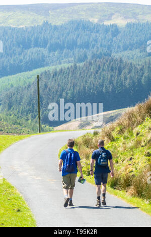 Wald von Bowland, Lancashire, UK, Wetter news. Mai 16th, 2019. schönen sonnigen Tag in der Dunsop Tal. Der Wald von Bowland ist ein Gebiet von außergewöhnlicher Schönheit und natrual dieses schöne Wetter zeigt, warum es erhält, dass Status. copyright Credit: Gary Telford/Alamy leben Nachrichten Stockfoto