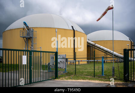 Prenzlau, Deutschland. 09 Mai, 2019. Biogasanlagen sind in den Räumlichkeiten der Enertrag Hybridkraftwerk entfernt (als Teil einer Reise, die von der Agentur für Erneuerbare Energien aufgenommen). Das Hybridkraftwerk wandelt grüner Strom in Wasserstoff. Credit: Monika Skolimowska/dpa-Zentralbild/ZB/dpa/Alamy leben Nachrichten Stockfoto