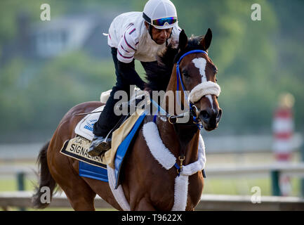 Baltimore, MD, USA. 17 Mai, 2019. Mai 17, 2019: Einweisende galoppiert wie Pferde für Preakness Woche vorbereiten am Pimlico Rennstrecke in Baltimore, Maryland. Carlos Calo/Eclipse Sportswire/CSM/Alamy leben Nachrichten Stockfoto