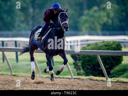 Baltimore, MD, USA. 17 Mai, 2019. Mai 17, 2019: Warrior's Kostenlos galoppiert wie Pferde für Preakness Woche am Pimlico Rennstrecke in Baltimore, Maryland. Carlos Calo/Eclipse Sportswire/CSM/Alamy leben Nachrichten Stockfoto