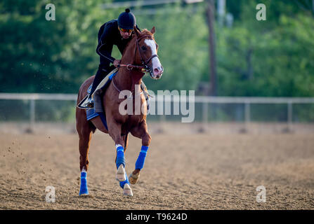 Baltimore, MD, USA. 17 Mai, 2019. Mai 17, 2019: Unwahrscheinlich, galoppiert wie Pferde für Preakness Woche vorbereiten am Pimlico Rennstrecke in Baltimore, Maryland. Carlos Calo/Eclipse Sportswire/CSM/Alamy leben Nachrichten Stockfoto