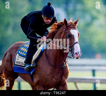 Baltimore, MD, USA. 17 Mai, 2019. Mai 17, 2019: Unwahrscheinlich, galoppiert wie Pferde für Preakness Woche vorbereiten am Pimlico Rennstrecke in Baltimore, Maryland. Carlos Calo/Eclipse Sportswire/CSM/Alamy leben Nachrichten Stockfoto