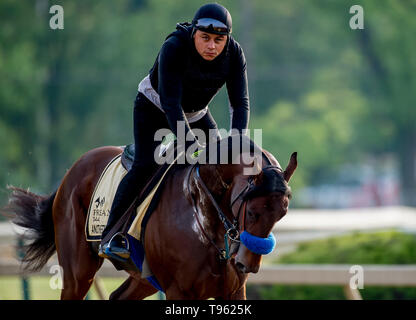 Baltimore, MD, USA. 17 Mai, 2019. Mai 17, 2019: Anothertwistafate galoppiert wie Pferde für Preakness Woche am Pimlico Rennstrecke in Baltimore, Maryland. Carlos Calo/Eclipse Sportswire/CSM/Alamy leben Nachrichten Stockfoto