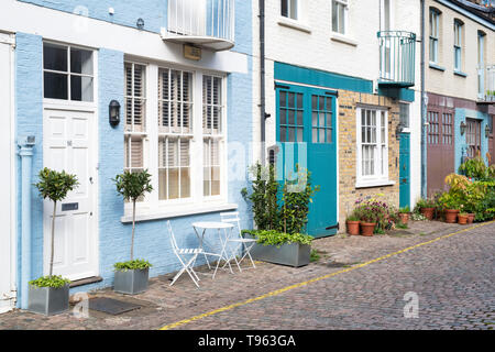 Kleine Bäume und Sträucher in den Behältern außerhalb Häuser in Cranley Mews, South Kensington, SW7, London. England Stockfoto