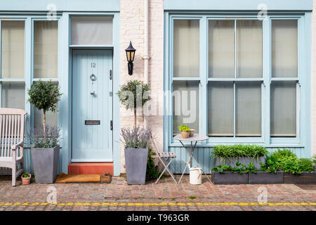 Kleine Bäume und Sträucher in den Behältern außerhalb Häuser in Cranley Mews, South Kensington, SW7, London. England Stockfoto