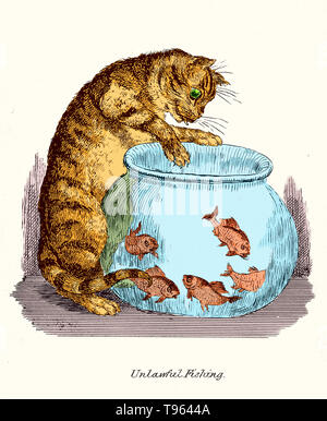 "Rechtswidrige Angeln": eine Katze beim Goldfisch in eine Schüssel scharren. Nachbildung einer Feder und Tinte Zeichnung von Robert Seymour. Dieses Bild hat Farbe verbessert. Stockfoto