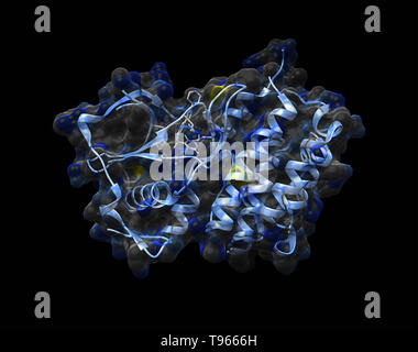 3D-Darstellung der Anaplastischen Lymphom Kinase mit crizotinib. Stockfoto