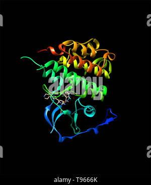 3D-Darstellung der Anaplastischen Lymphom Kinase mit crizotinib. Stockfoto