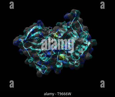 3D-Darstellung der Anaplastischen Lymphom Kinase mit crizotinib. Stockfoto